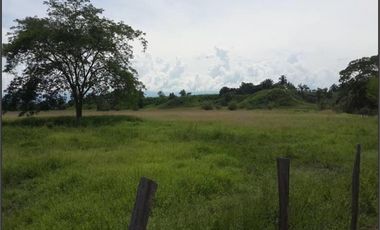 FINCA GANADERA-ARROCERA EN SAN LUIS TOLIMA