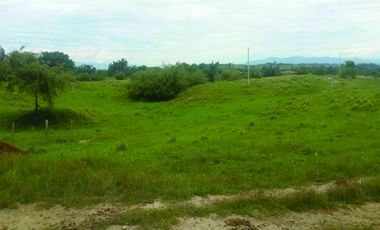 FINCA GANADERA-ARROCERA EN SAN LUIS TOLIMA