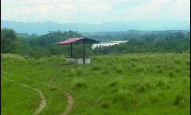 FINCA GANADERA-ARROCERA EN SAN LUIS TOLIMA