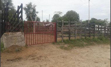 FINCA GANADERA-ARROCERA EN SAN LUIS TOLIMA