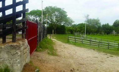 FINCA GANADERA-ARROCERA EN SAN LUIS TOLIMA