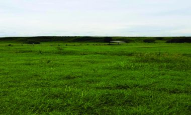 FINCA GANADERA-ARROCERA EN SAN LUIS TOLIMA