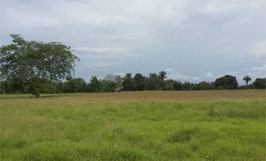 FINCA GANADERA-ARROCERA EN SAN LUIS TOLIMA
