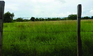 FINCA GANADERA-ARROCERA EN SAN LUIS TOLIMA