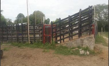 FINCA GANADERA-ARROCERA EN SAN LUIS TOLIMA