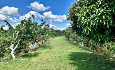Finca turística en Venta sector Alcalá (6 cuadras)