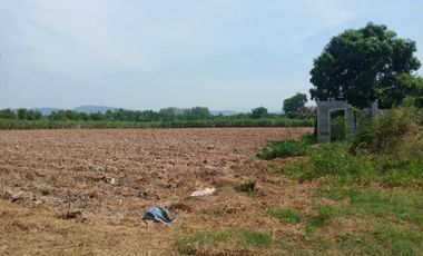 64,000 sqm. Land for Sales in Banbueng-Chonburi