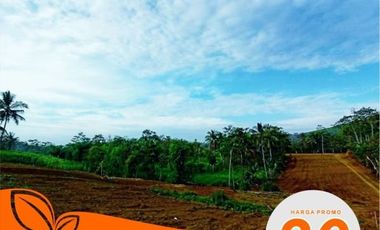 Tanah Kavling Murah Malang 30 Jutaan