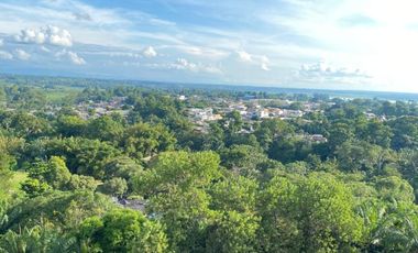 apartamento en arriendo/venta en el palmar. Cod A124092