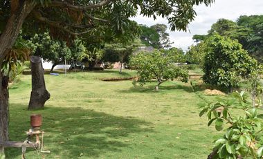 VENTA FINCA EL ZULIA CORNEJO