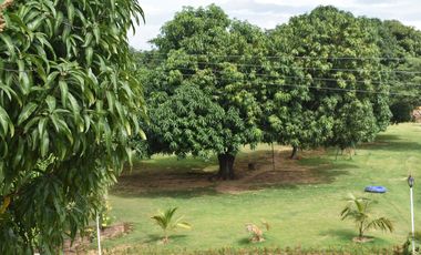 VENTA FINCA EL ZULIA CORNEJO