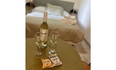 Alquiler temporario turistico Chacras Apart Mendoza