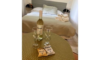 Alquiler temporario turistico Chacras Apart Mendoza