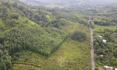 Finca de Cacao en Venta