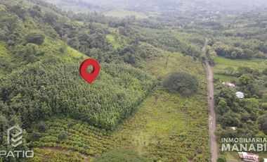 Finca de Cacao en Venta