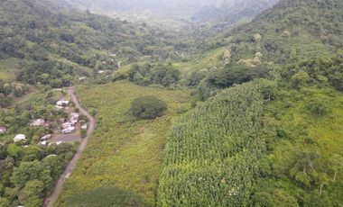 Finca de Cacao en Venta