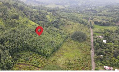 Finca de Cacao en Venta