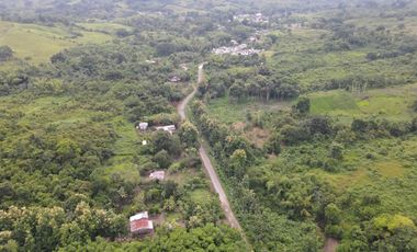 Finca de Cacao en Venta