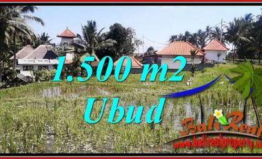 Investasi di Ubud Bali, Tanah Murah 15 are View Sawah