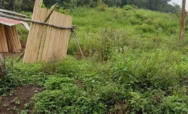 6 Ha Tanah Dekat Jalan Kabupaten, Sukamulya, Cipongkor, Kabupaten Bandung Barat.