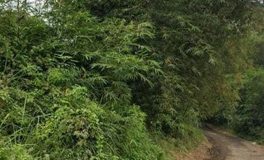 6 Ha Tanah Dekat Jalan Kabupaten, Sukamulya, Cipongkor, Kabupaten Bandung Barat.