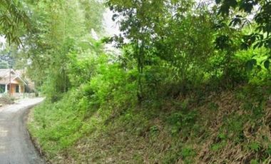6 Ha Tanah Dekat Jalan Kabupaten, Sukamulya, Cipongkor, Kabupaten Bandung Barat.