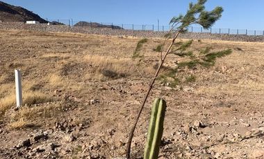 Terreno en Venta en Ciudad Maderas