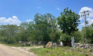 Rancho en Tecoh Yucatan, con casa, en venta