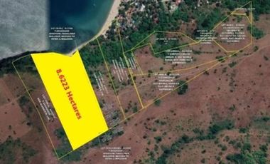 8.6 hectares: 🌟 Quinawan Beachfront Paradise: A Premier Investment Opportunity Awaits You! 🌊🏝️