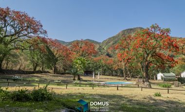 ALQUILER COMPLEJO CABAÑAS RIO BLANCO - CAMPO QUIJANO