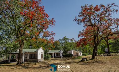 ALQUILER COMPLEJO CABAÑAS RIO BLANCO - CAMPO QUIJANO