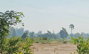 Land for sale in Na Yang, Phetchaburi