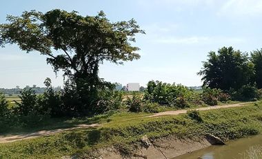 Land for sale in Na Yang, Phetchaburi