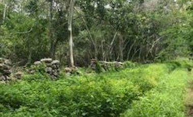 Amplio terreno de 4 hectáreas a solo 20 minutos de Mérida