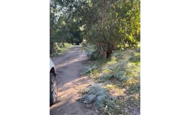 167 y 62 terreno 500m2