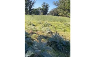 167 y 62 terreno 500m2