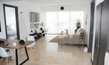 ALQUILER APARTAMENTO AMOBLADO OCEAN CLUB