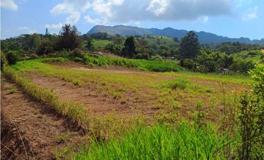 VENTA LOTES TITIRIBI, SUROESTE ANTIOQUEÑO