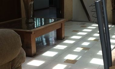 RENTO OFICINAS EN ESTEBAN DE ANTUÑANO CERCA 25 PTE. UNA EN P.B. A PIE DE CALLE