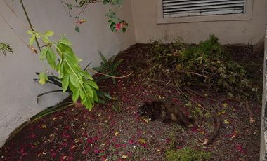 Casa 5amb en Lanús Oeste con cochera y patio