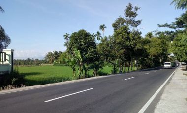Roadside land in Narmada West Lombok