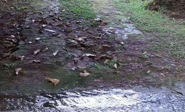 VENDO HERMOSA FINCA A 12 MINUTOS DESDE LA DOBLE CALZADA EN BARBOSA ANTIOQUIA.