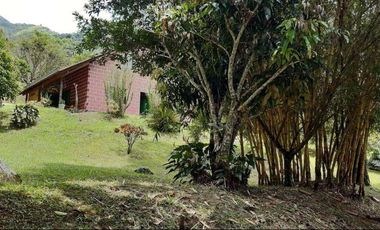 VENDO HERMOSA FINCA A 12 MINUTOS DESDE LA DOBLE CALZADA EN BARBOSA ANTIOQUIA.