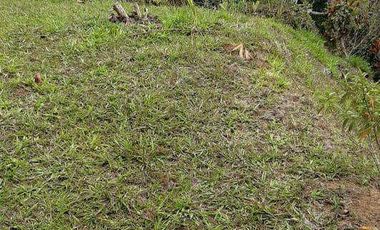 VENDO HERMOSA FINCA A 12 MINUTOS DESDE LA DOBLE CALZADA EN BARBOSA ANTIOQUIA.