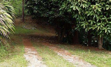 VENDO HERMOSA FINCA A 12 MINUTOS DESDE LA DOBLE CALZADA EN BARBOSA ANTIOQUIA.