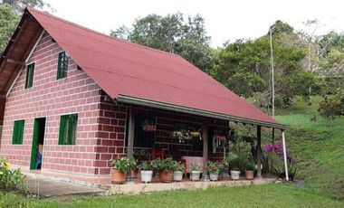 VENDO HERMOSA FINCA A 12 MINUTOS DESDE LA DOBLE CALZADA EN BARBOSA ANTIOQUIA.