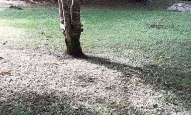VENDO HERMOSA FINCA A 12 MINUTOS DESDE LA DOBLE CALZADA EN BARBOSA ANTIOQUIA.