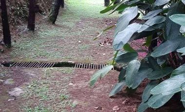 VENDO HERMOSA FINCA A 12 MINUTOS DESDE LA DOBLE CALZADA EN BARBOSA ANTIOQUIA.