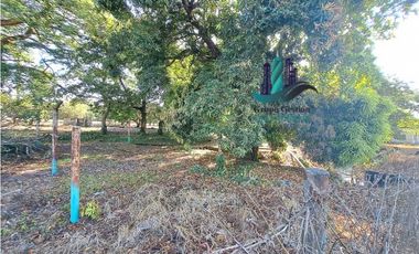 VENDO LOTE DE 160000M2 DOLEGA VIA PRINCIPAL