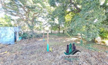 VENDO LOTE DE 160000M2 DOLEGA VIA PRINCIPAL